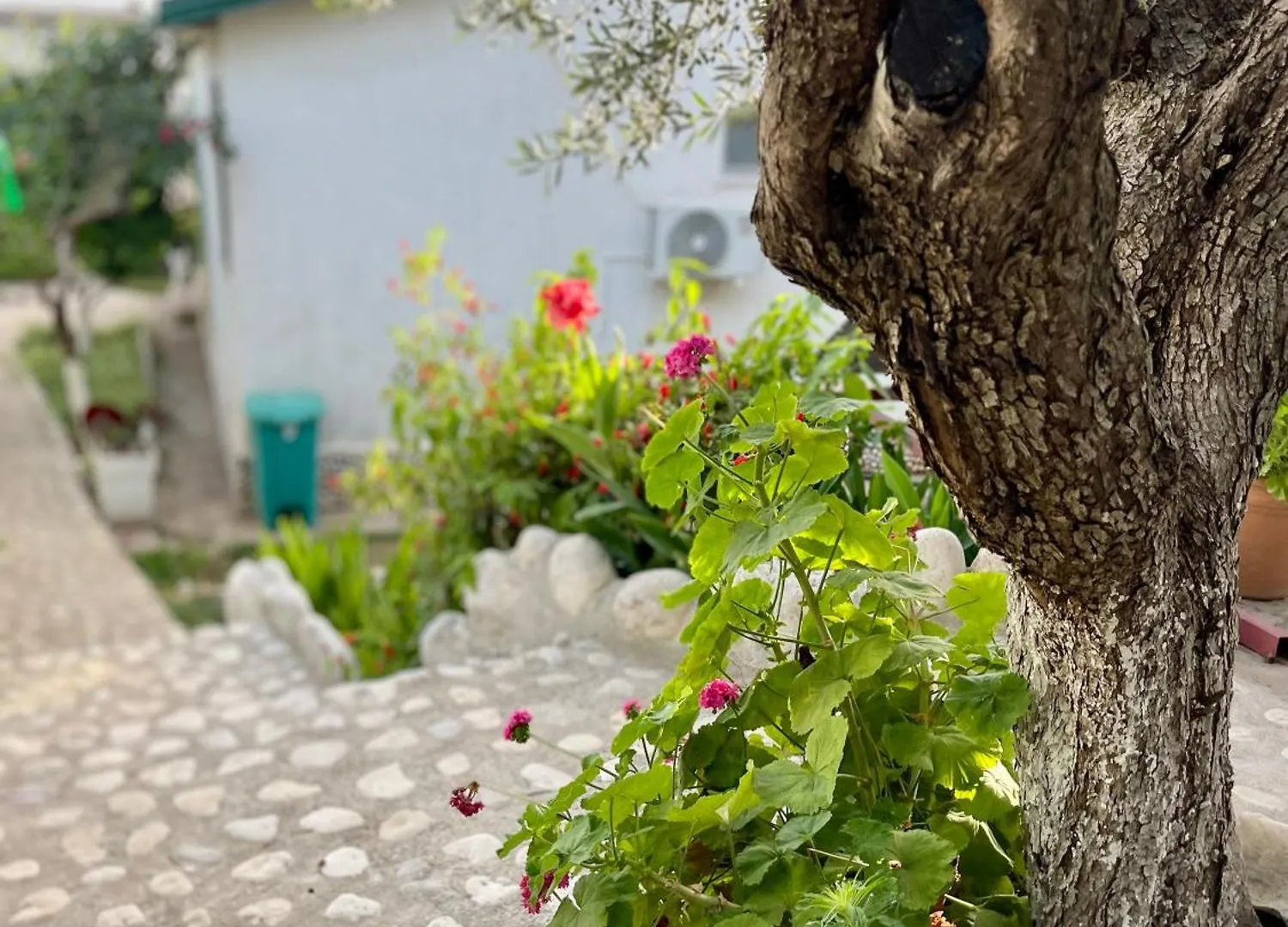 Chalet Ambel Dhërmi